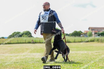 IMG_0899.jpg