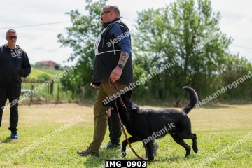 IMG_0903.jpg
