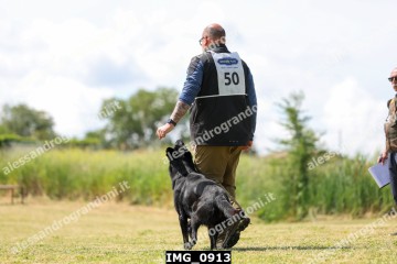 IMG_0913.jpg
