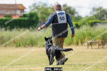 IMG_0916.jpg