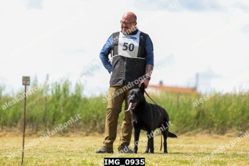 IMG_0935.jpg