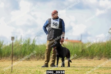 IMG_0938.jpg