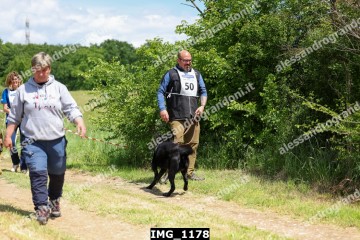 IMG_1178.jpg