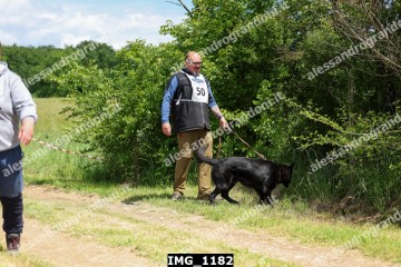 IMG_1182.jpg