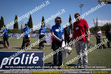 D21A9544.jpg