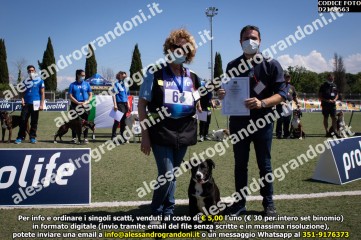 D21A9563.jpg