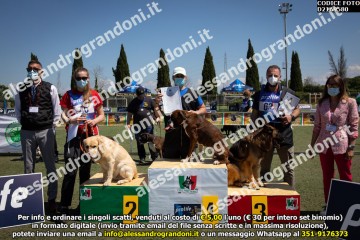 D21A9580.jpg