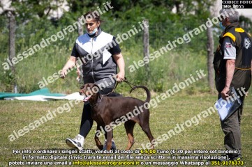 IMG_0055.jpg