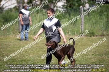 IMG_0069.jpg