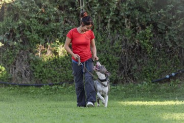 0N5A2400.jpg