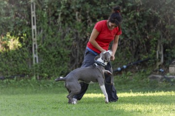 0N5A2475.jpg