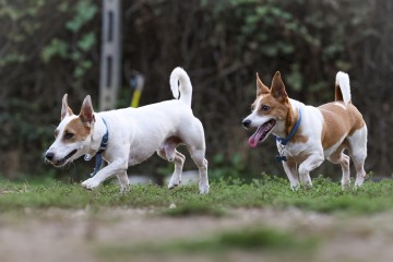 0N5A4910.jpg