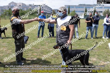 IMG_0634.jpg