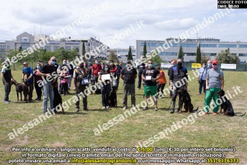 IMG_0680.jpg