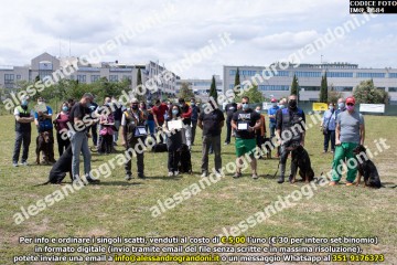 IMG_0684.jpg