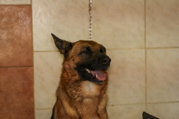 496A5138.jpg