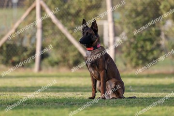 IMG_3476.jpg