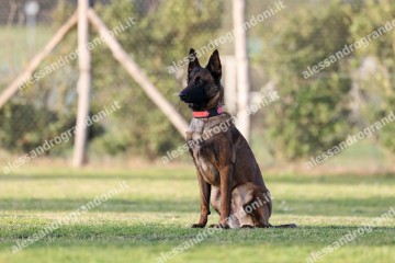 IMG_3484 (2).jpg
