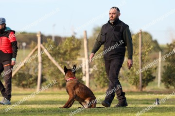 IMG_3493.jpg