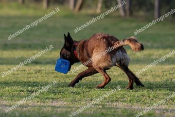 IMG_3586.jpg