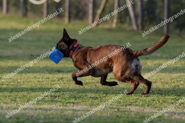 IMG_3590 (2).jpg