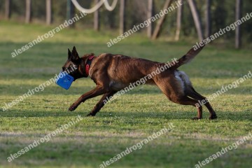 IMG_3594.jpg