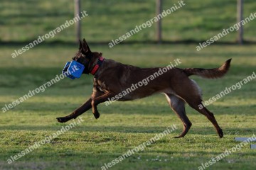 IMG_3622.jpg
