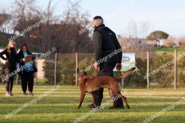 IMG_3652 (2).jpg