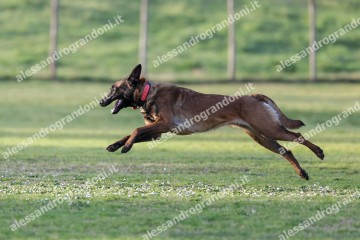 IMG_3782.jpg