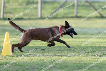 IMG_3808.jpg