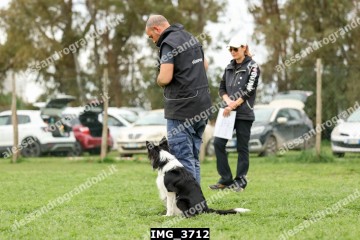 IMG_3712.jpg
