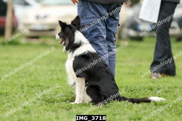 IMG_3718.jpg