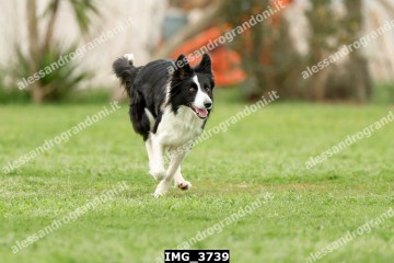 IMG_3739.jpg