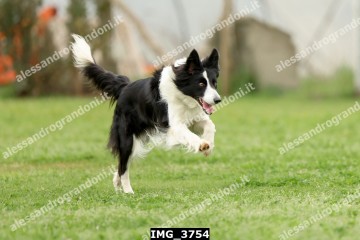 IMG_3754.jpg