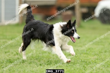 IMG_3771.jpg