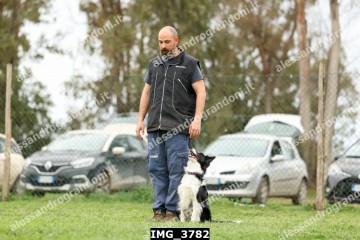 IMG_3782.jpg