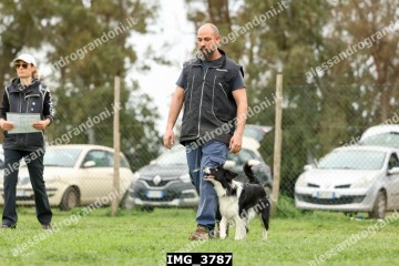 IMG_3787.jpg
