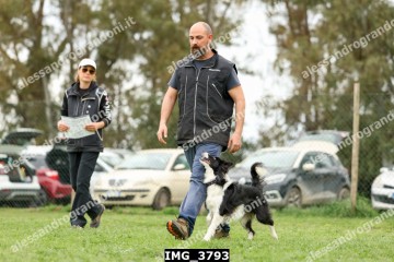 IMG_3793.jpg