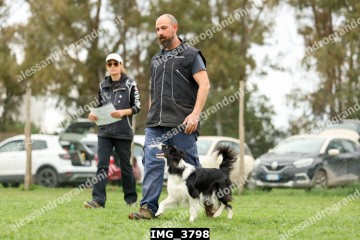 IMG_3798.jpg