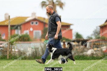 IMG_3818.jpg