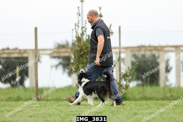 IMG_3831.jpg