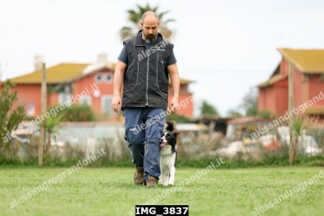 IMG_3837.jpg