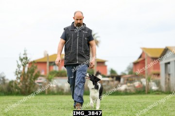 IMG_3847.jpg
