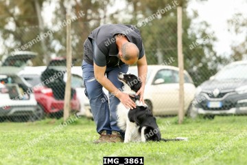 IMG_3861.jpg