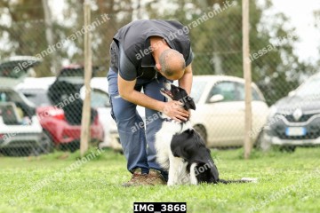 IMG_3868.jpg