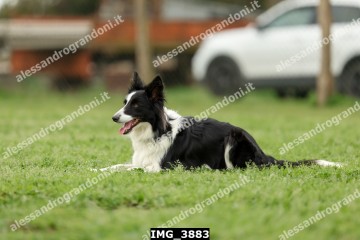 IMG_3883.jpg