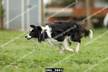 IMG_3891.jpg