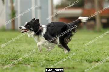 IMG_3893.jpg
