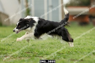 IMG_3895.jpg