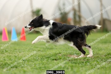 IMG_3903.jpg
